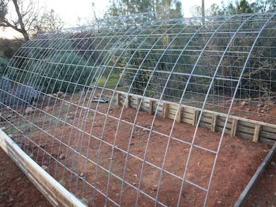 Arch cattle panel trellis for a plant bed.