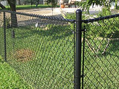 Black chain link fence for the backyard keeps the pets in.