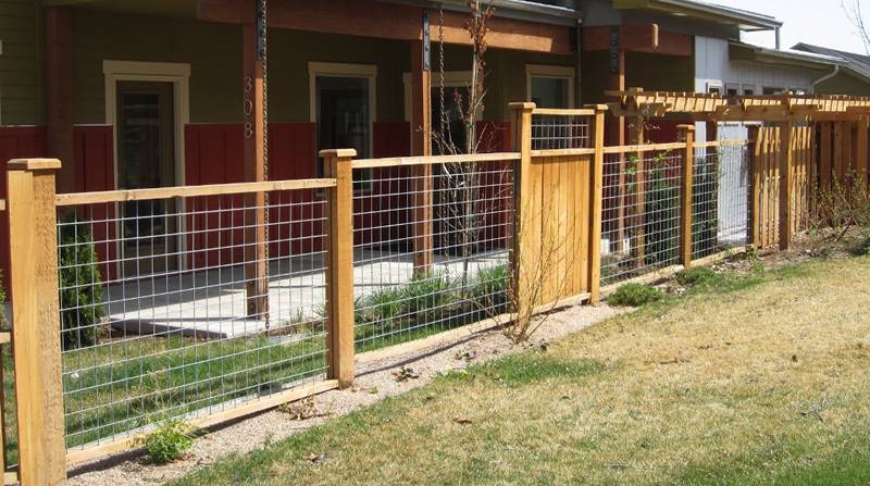 4 ft. hog panel fencing with cedar frame is very attractive.